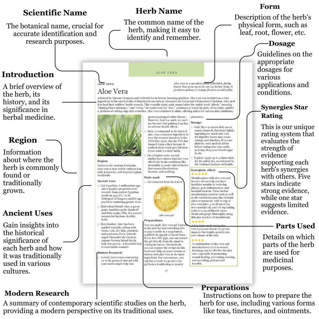 Ancient Remedies Revived - Image 5
