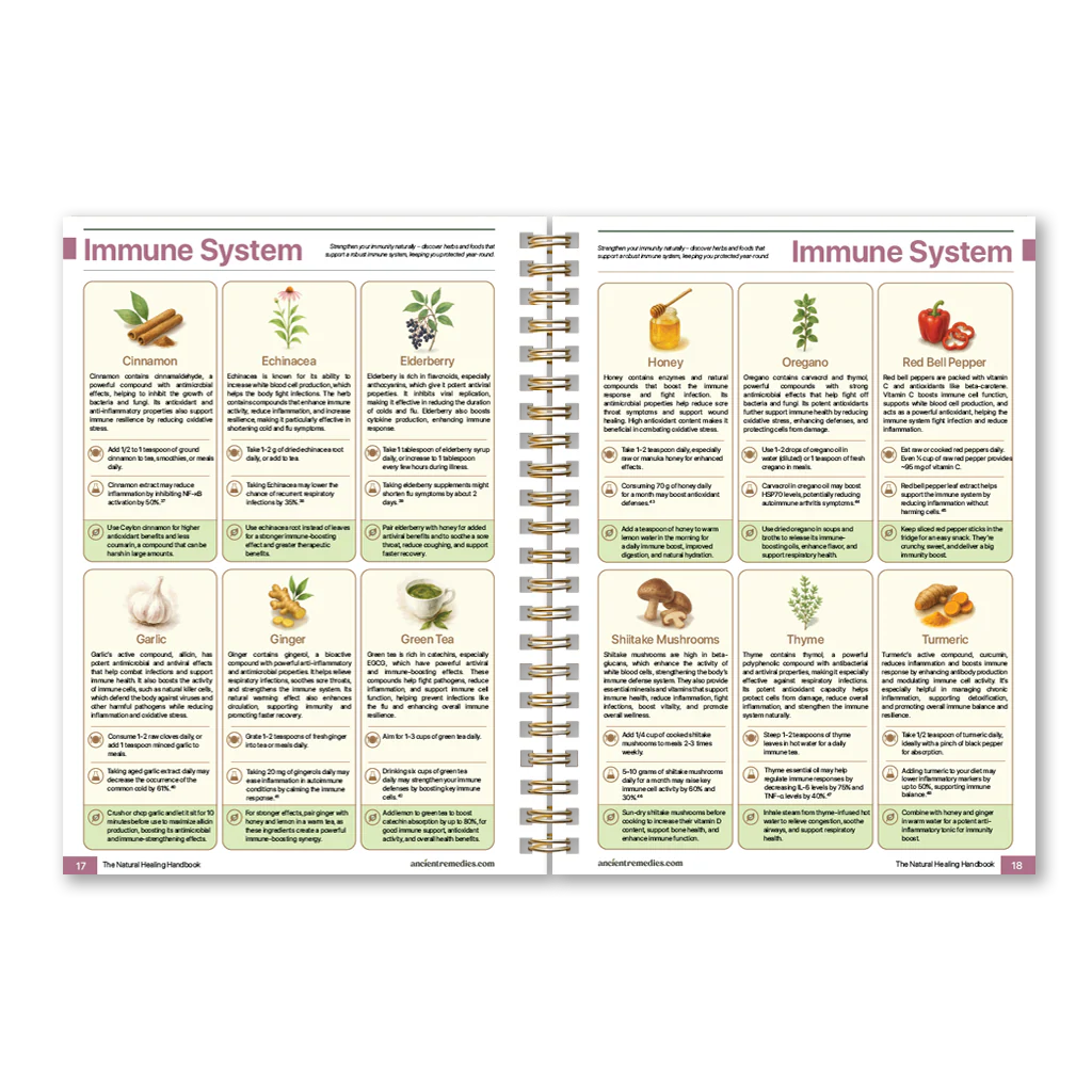 The Natural Healing Handbook - Image 7