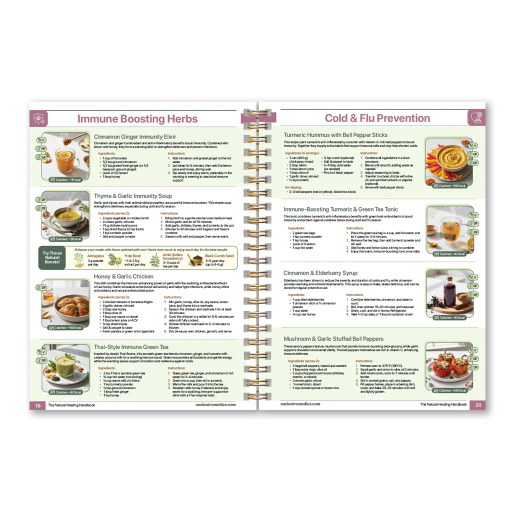 The Natural Healing Handbook - Image 8